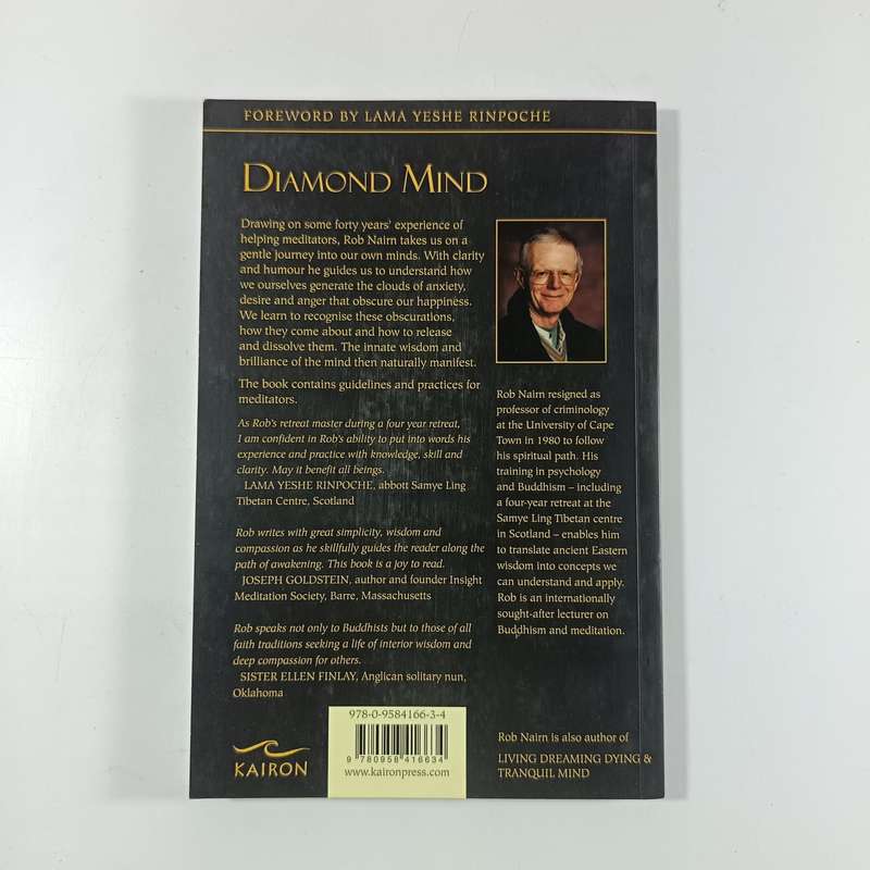 Diamond Mind: A Psychology of Meditation by Rob Nairn | Buddhist Psychology & Practical Insight