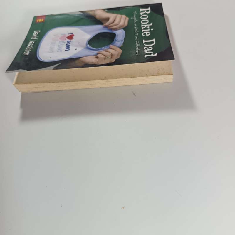 Rookie Dad: Thoughts on FirstTime Fatherhood by David Jacobsen | Honest Fatherhood Memoir