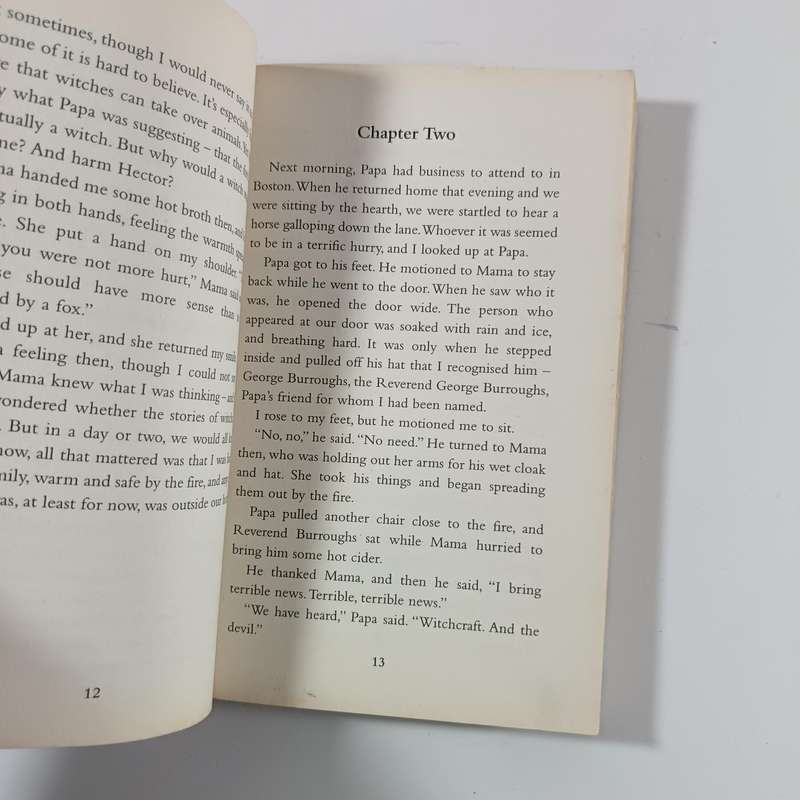 Salem Witch by Patricia Hermes | My Side of the Story  DualNarrative Salem Trials (Age 1013)