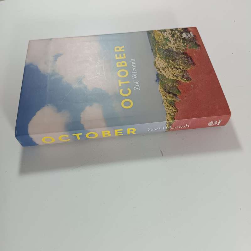 October: A Novel by Zoë Wicomb | South African Diaspora & Homecoming Fiction
