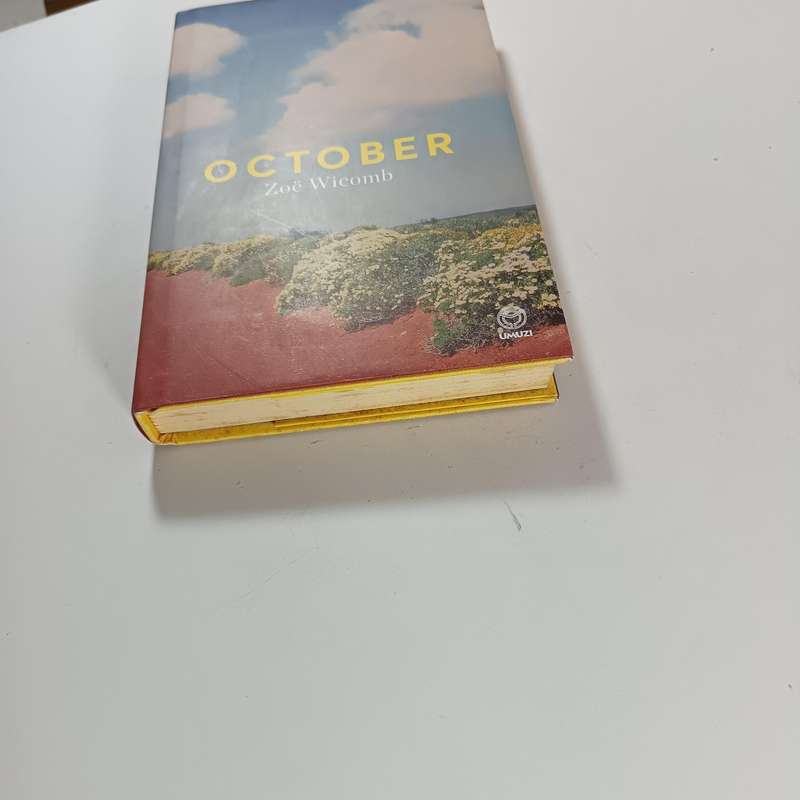 October: A Novel by Zoë Wicomb | South African Diaspora & Homecoming Fiction