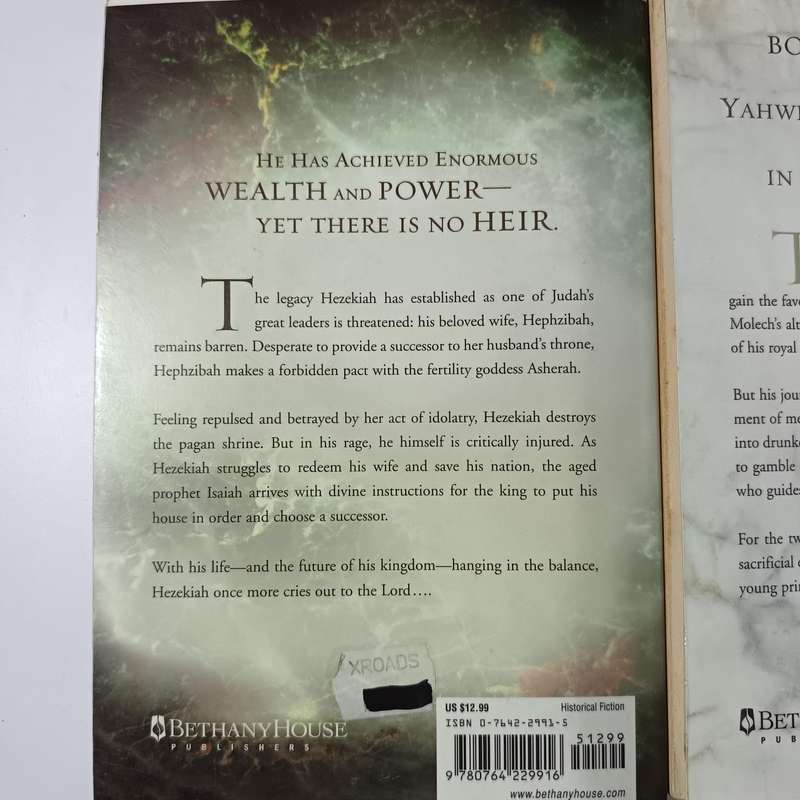 Gods & Kings Trilogy Bundle by Lynn Austin | Chronicles of the Kings Series (3 Volumes