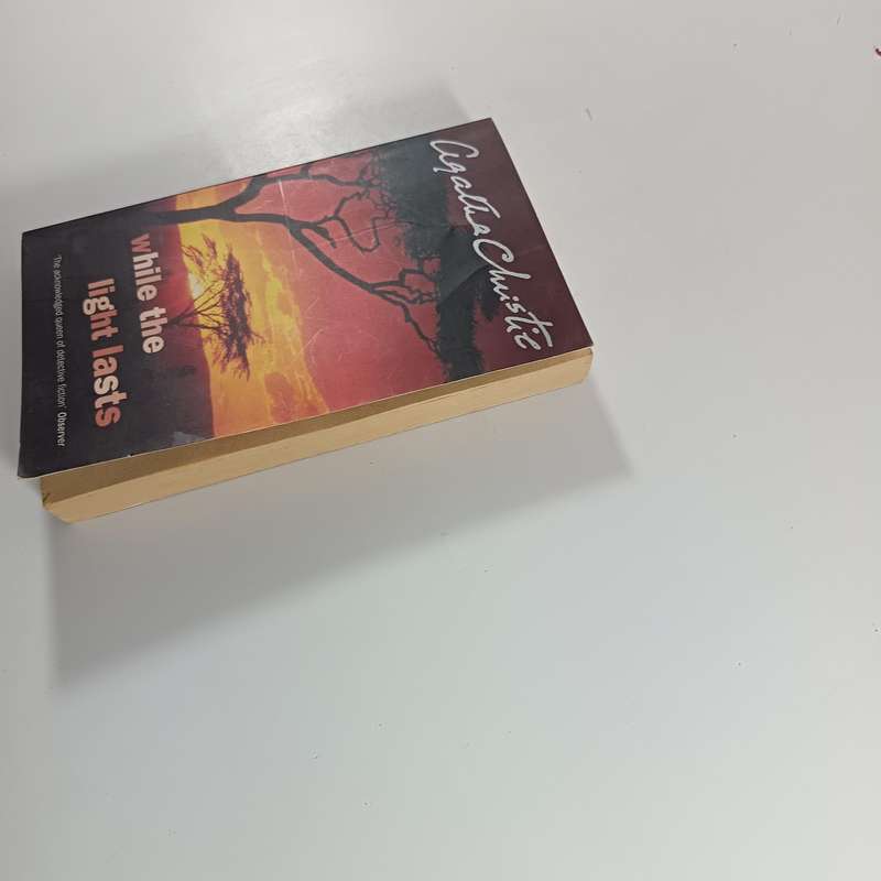 While the Light Lasts  by Agatha Christie | Classic Mystery