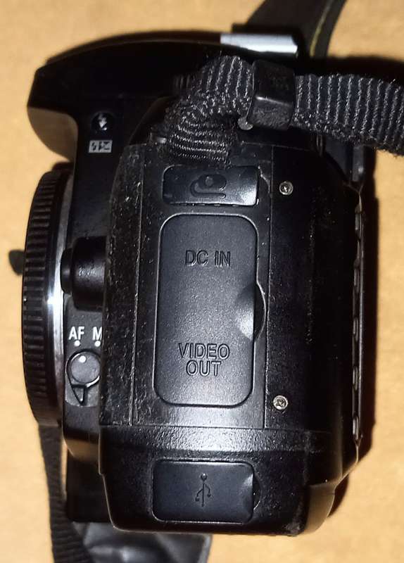 Nikon D70S 6.1MP Digital SLR Camera (Body Only)