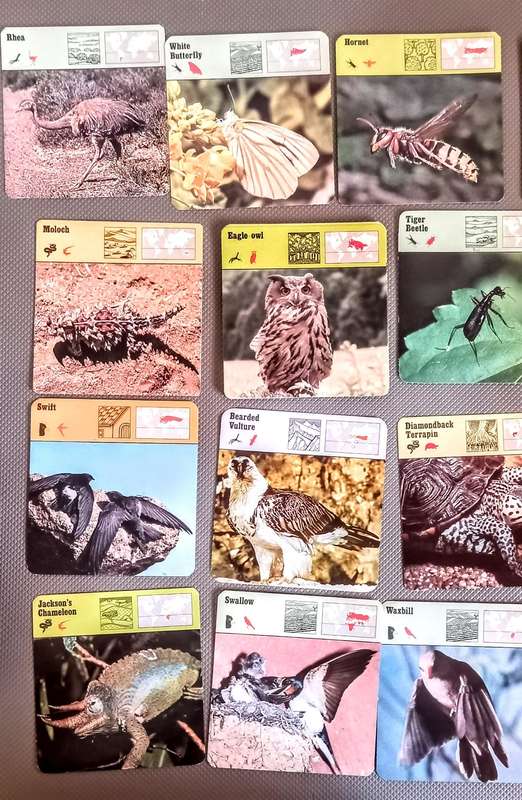 137 x Vintage Animal Trading / Fact Cards by Editions Rencontre 1975
