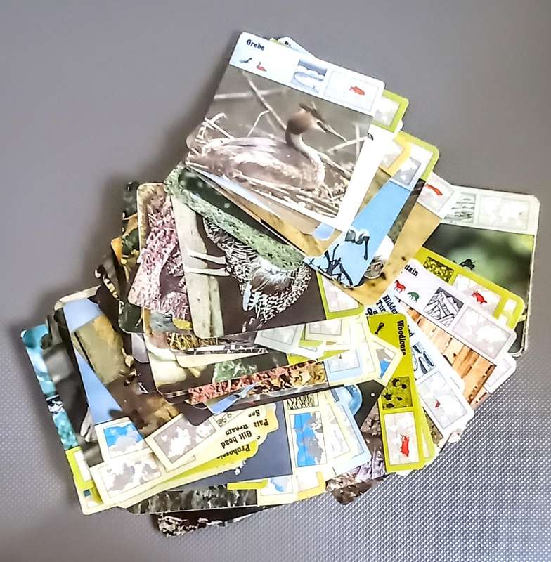137 x Vintage Animal Trading / Fact Cards by Editions Rencontre 1975