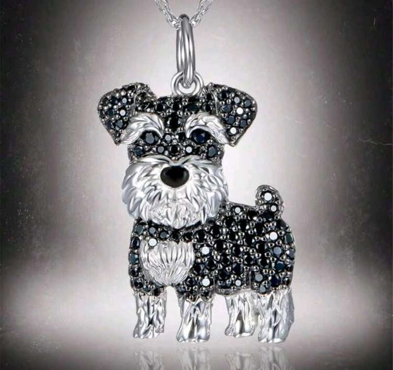 Beautiful pet jewelry