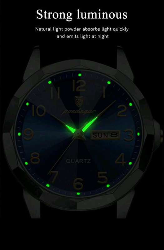 Men's Poedagar luxury watch