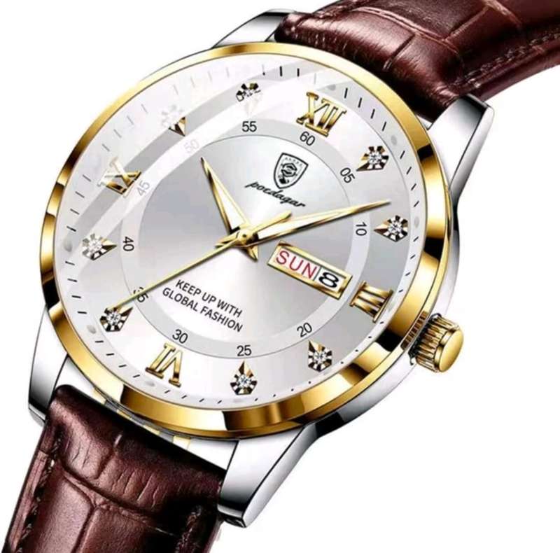 Men's Poedagar luxury watch