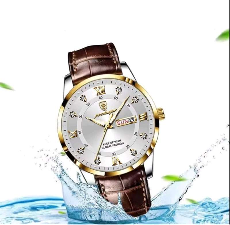 Men's Poedagar luxury watch