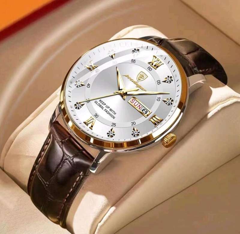 Men's Poedagar luxury watch