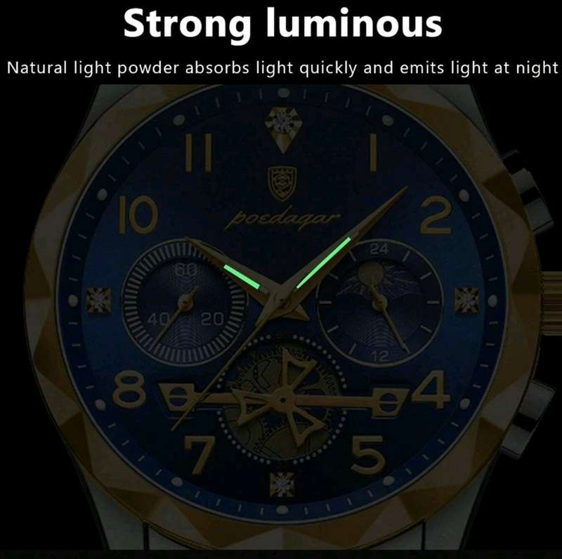 LIMITED EDITION Poedagar mens luxury watch