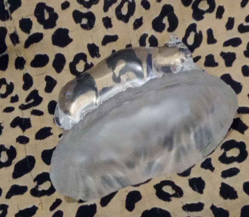 Beautiful Decorative Wild Boar Hog Glass Sculpture/ Paperweight . Collectable