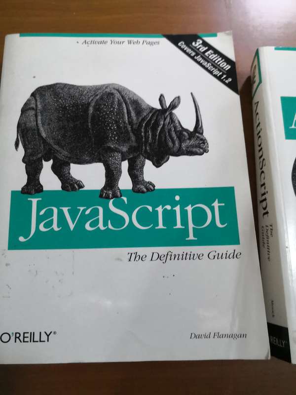 Javascipt Definitive Guide O'Reilly