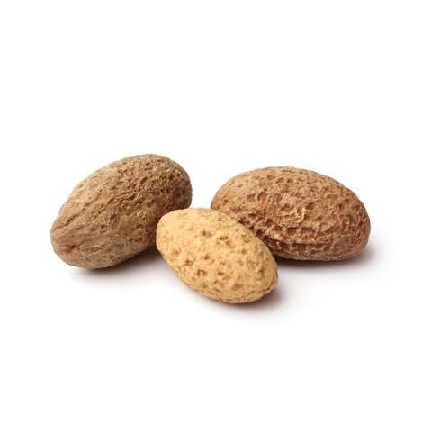 Bitter Kola Nuts