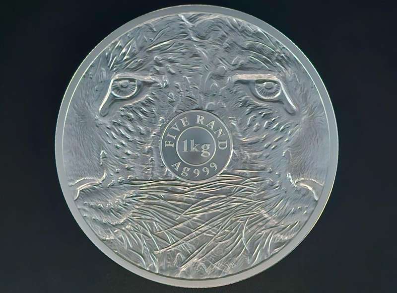 2025 R5 1KG Fine-Silver Africa's Big Five - Leopard Series ll