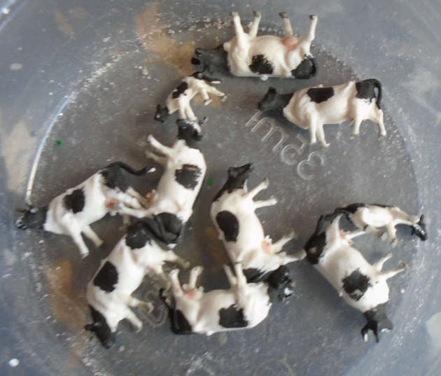 N SCALE - 10 X COWS