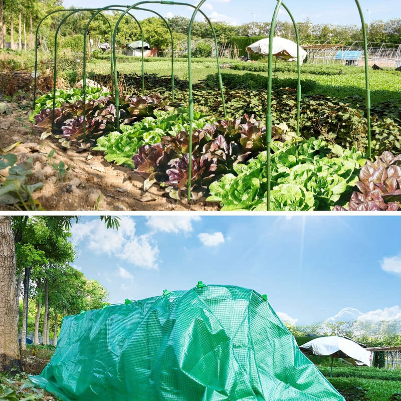 Heavy Duty Green Clear Tarp - Uv And Waterproof Plastic Cover,