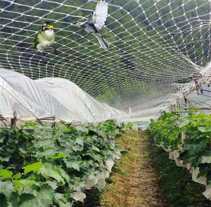 1-Pack Heavy Duty Bird Netting