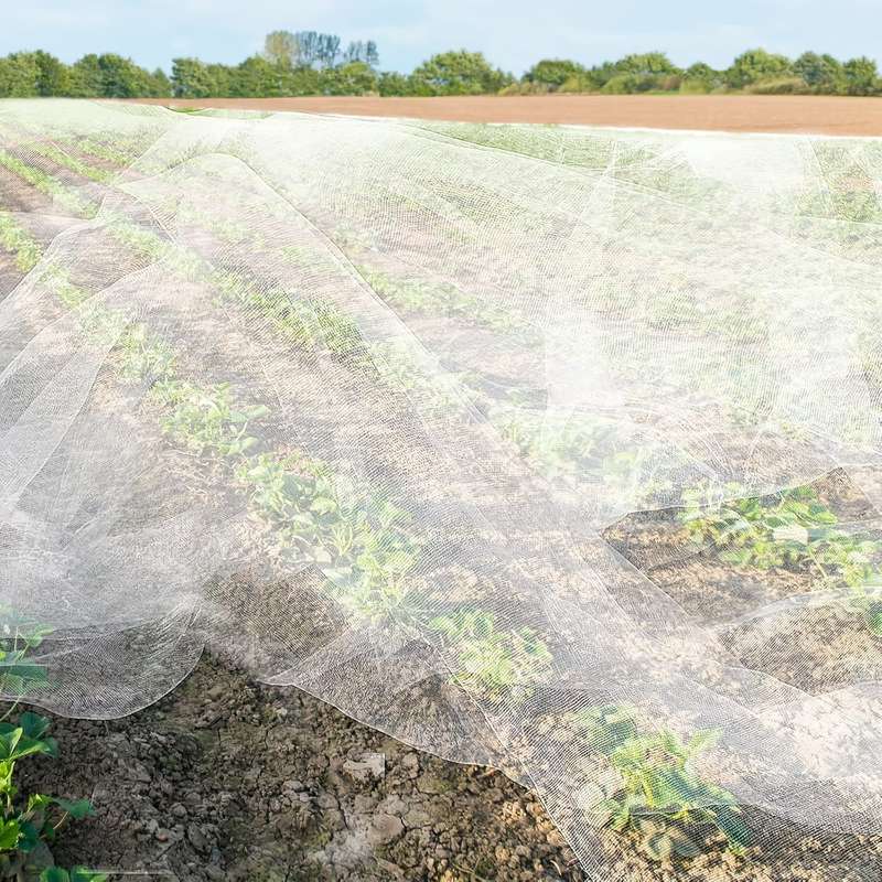 1 Piece Of Durable Pvc Garden Netting