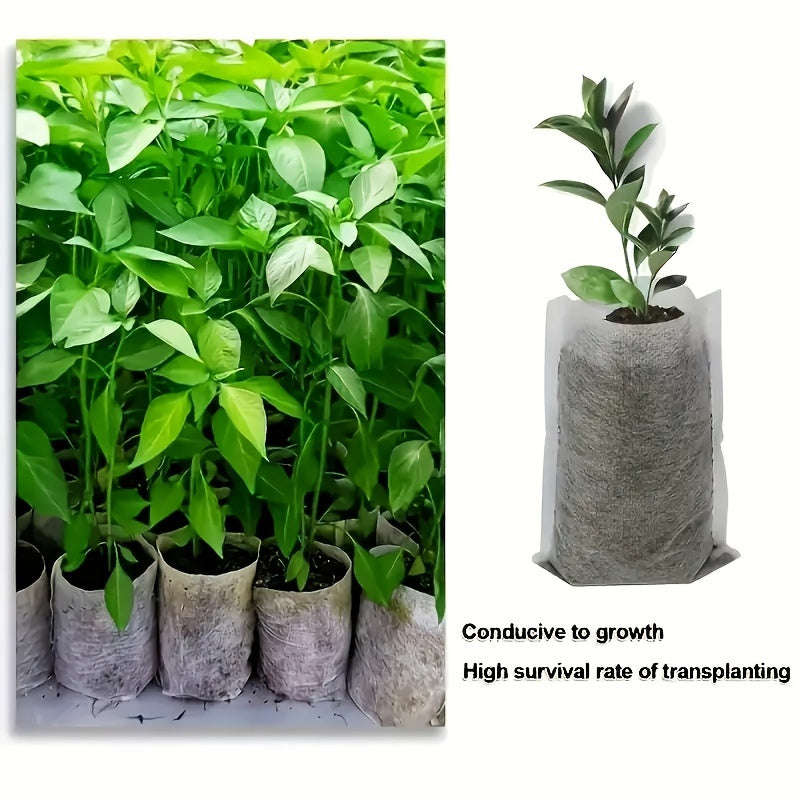 100 Biodegradable Seedling Bags