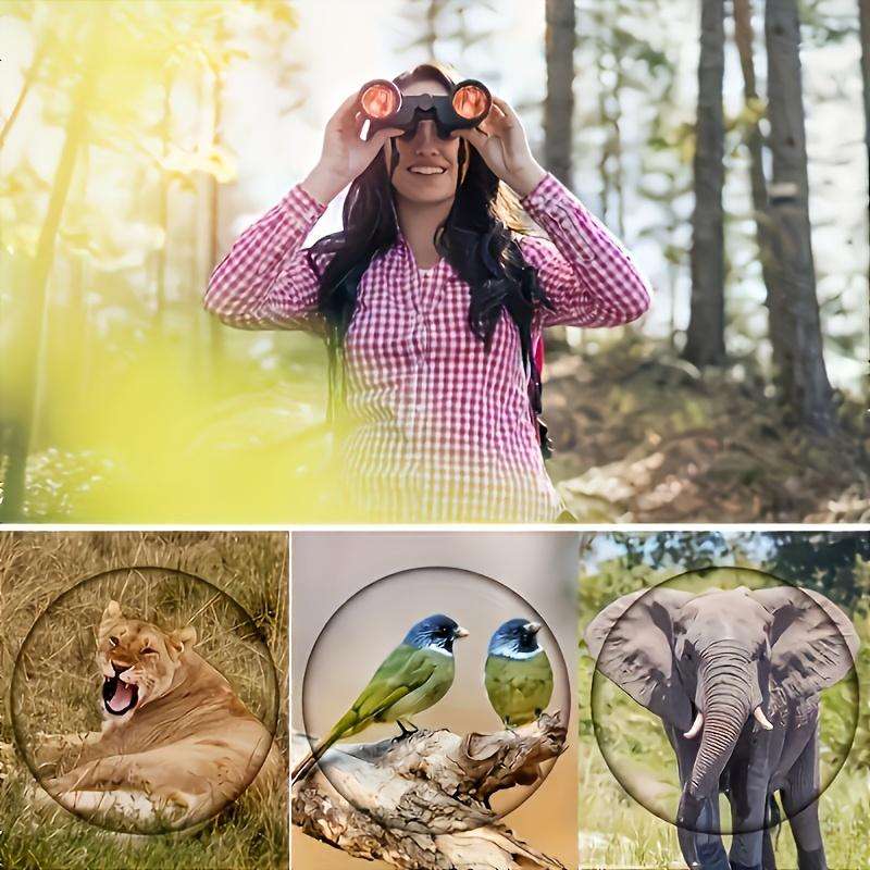 HD 10X50 Binoculars