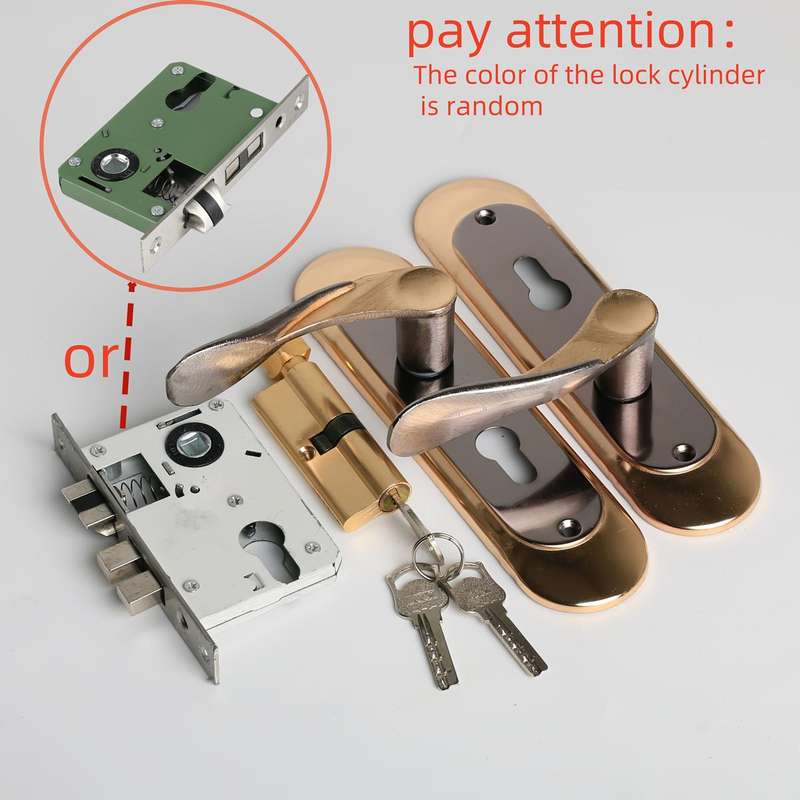Modern Double Door Lock Set