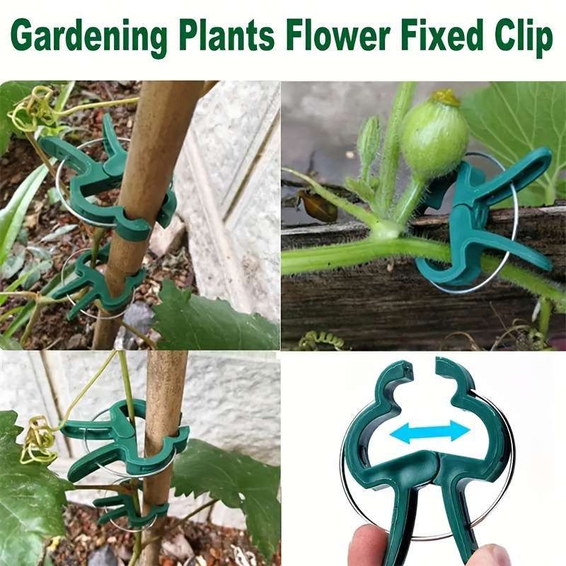 Set Of 50 Sturdy Plastic Clips