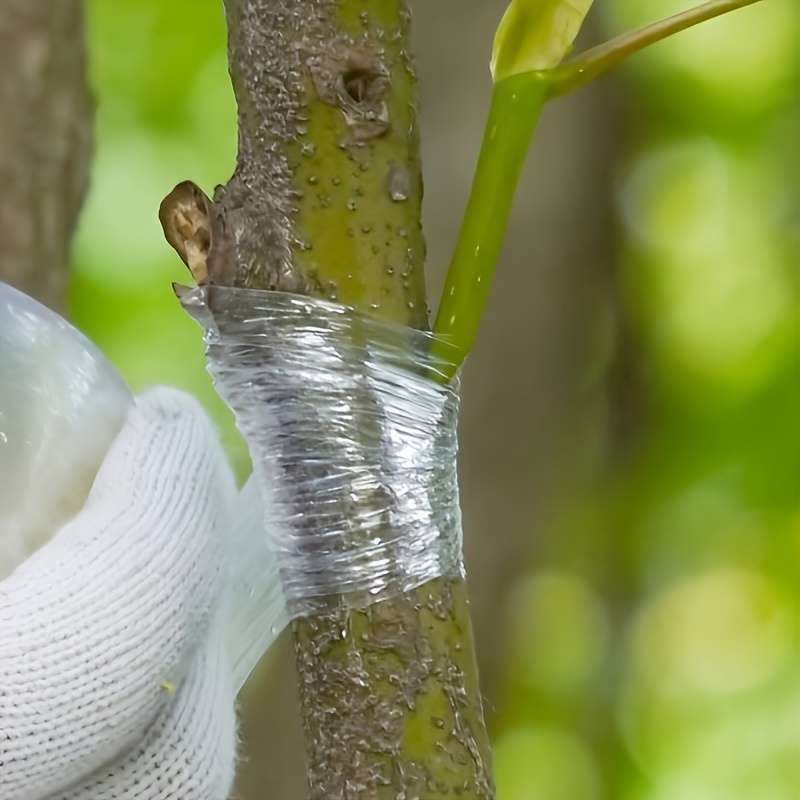 Strong Adhesive Fruit Tree Grafting Tape