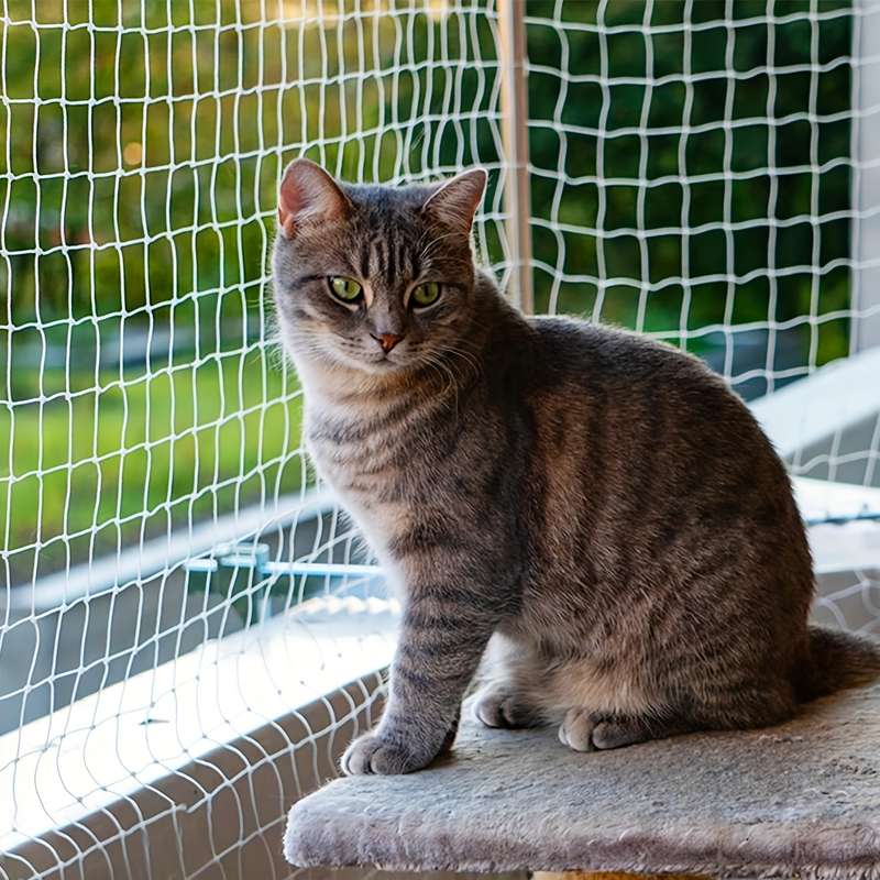 Balcony Transparent Cat Protection Net With Connecting Rope And Accessories