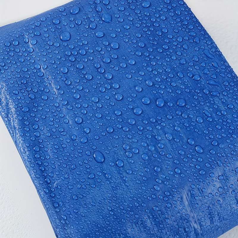 1  Blue Tarp