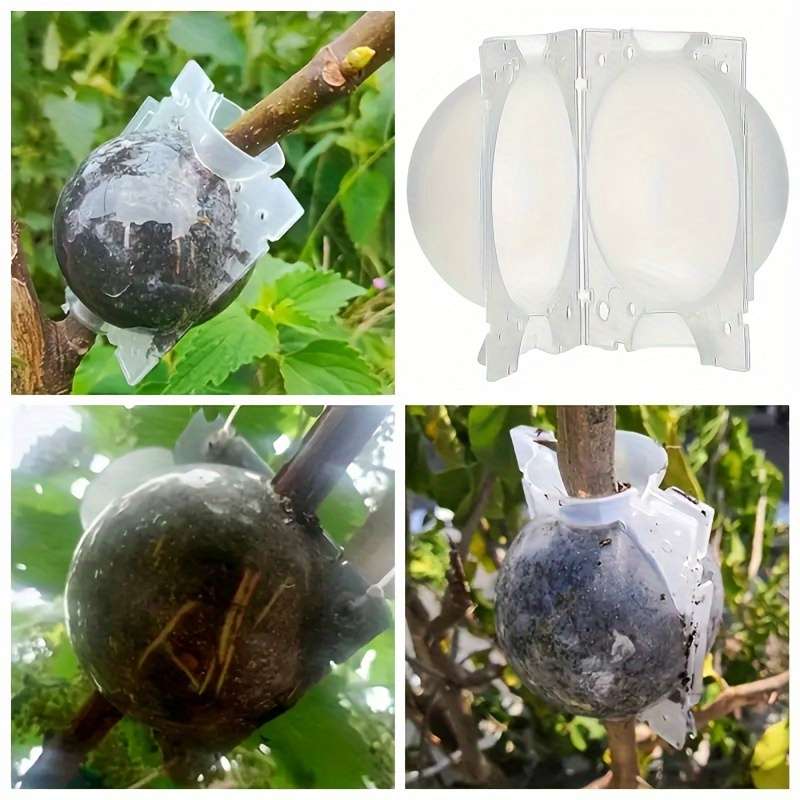 10-Piece Plant Root Growth Box