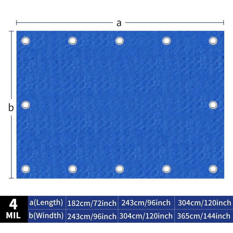 1  Blue Tarp