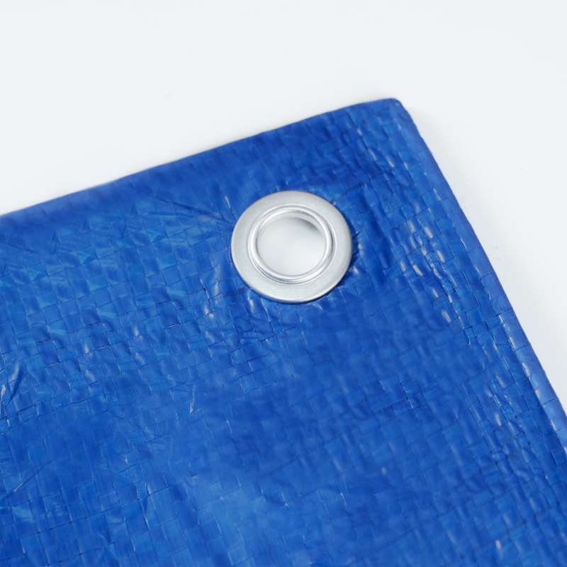 1  Blue Tarp
