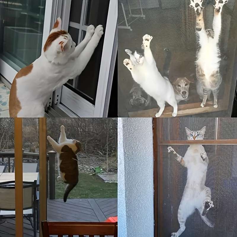 Home Mosquito And Fly Screens - Keep Pets Out With Easy To Install Window Nets