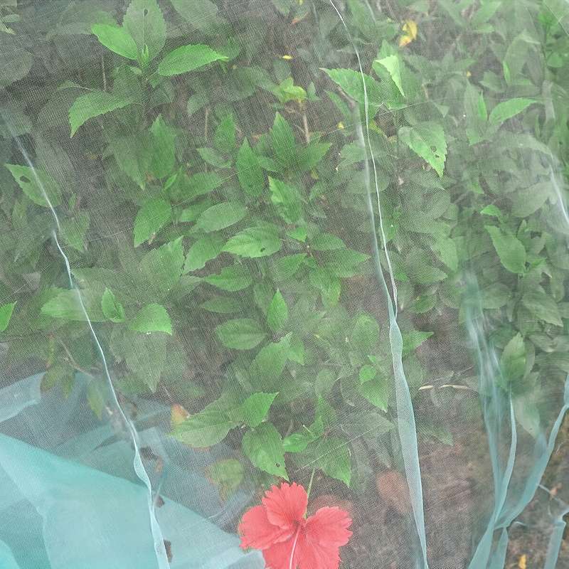 High Quality Mesh Garden Covering Net