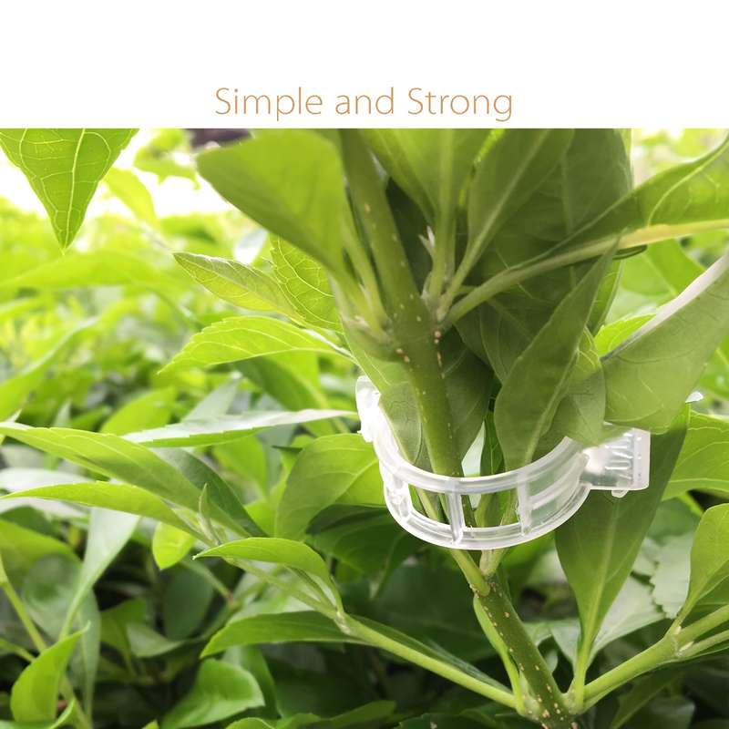 30 Pieces Tomato Clip