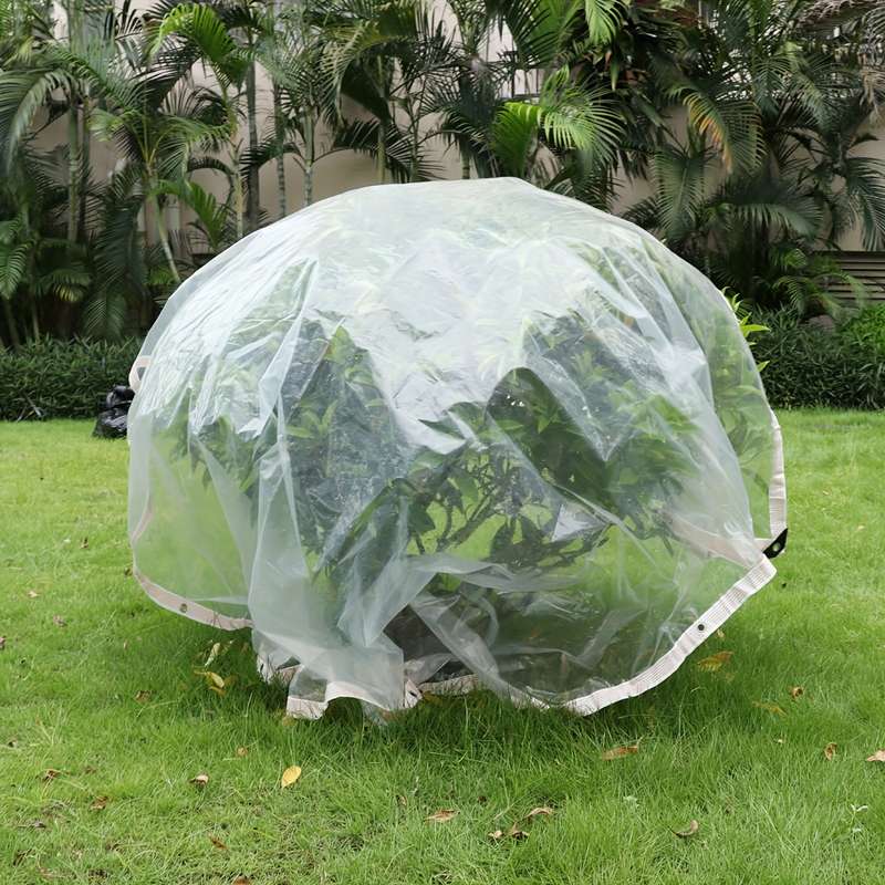 Durable Transparent Pe Tarpaulin