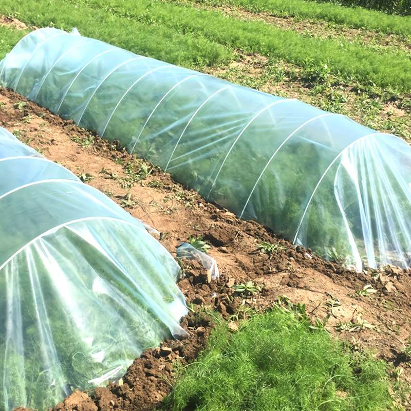 Transparent Waterproof Tarpaulin