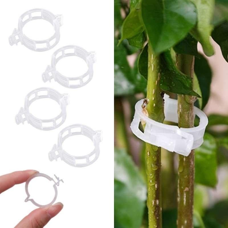 150pcs Tomato Clips
