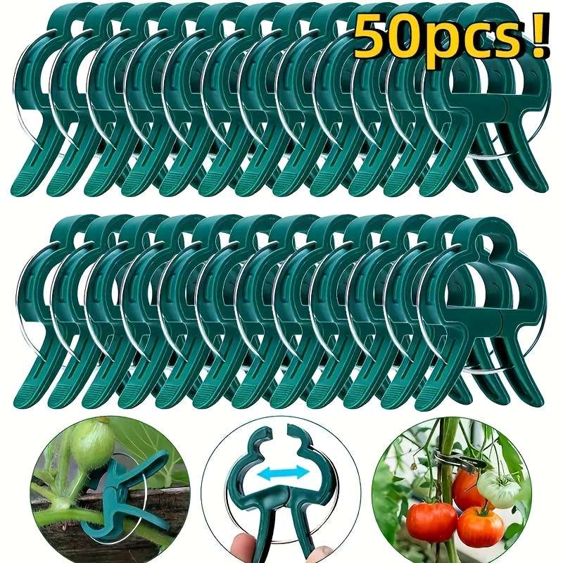 Set Of 50 Sturdy Plastic Clips