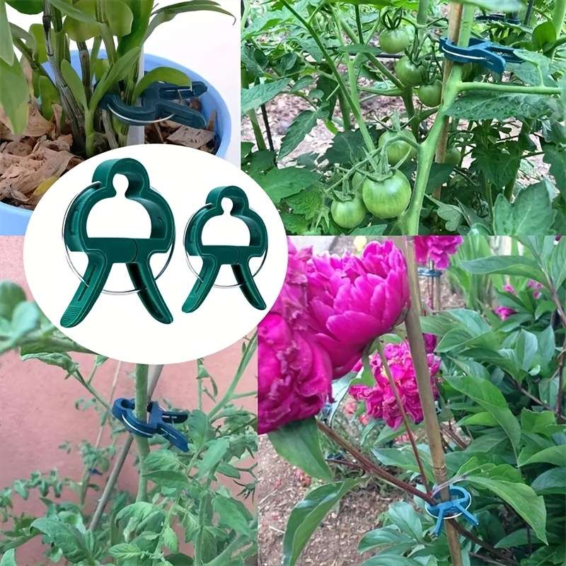 Set Of 50 Sturdy Plastic Clips