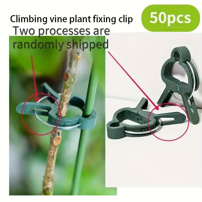 Set Of 50 Sturdy Plastic Clips