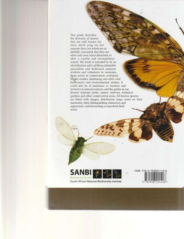 CICADAS OF SOUTHERN AFRICA