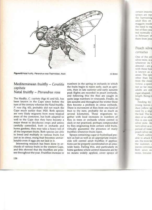 INSECTS AND MITES OF CULTIVATED PLANTS IN SOUTH AFRICA