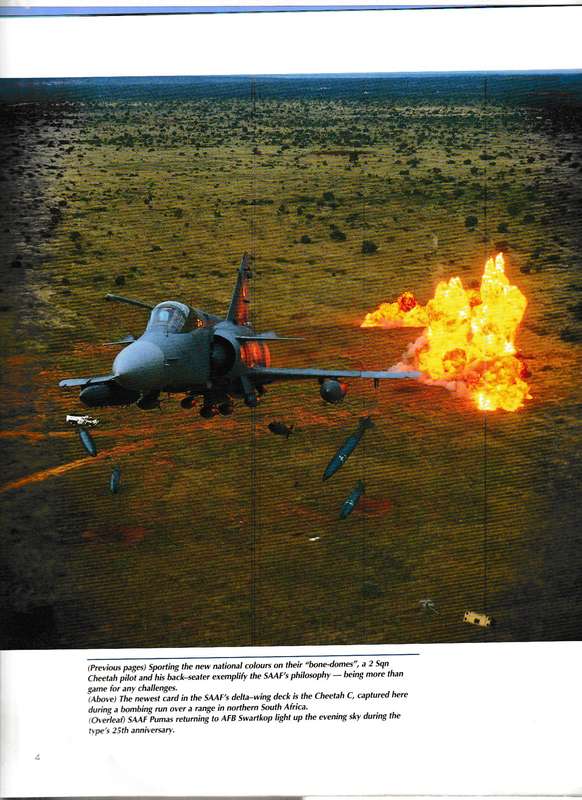MORE THAN GAME by HERMAN POTGIETER