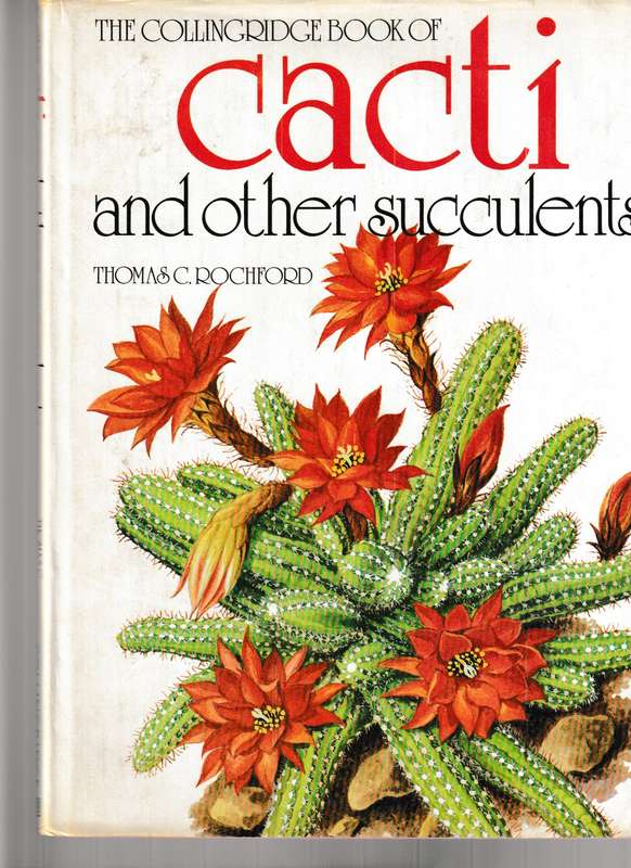CACTI AND OTHER SUCCULENTS