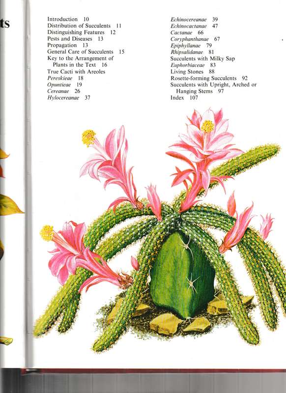 CACTI AND OTHER SUCCULENTS