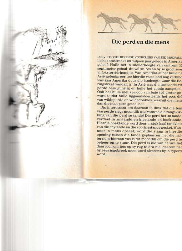 IN DIE SAAL: STORIES OOR PERDE deur PETS MARAIS