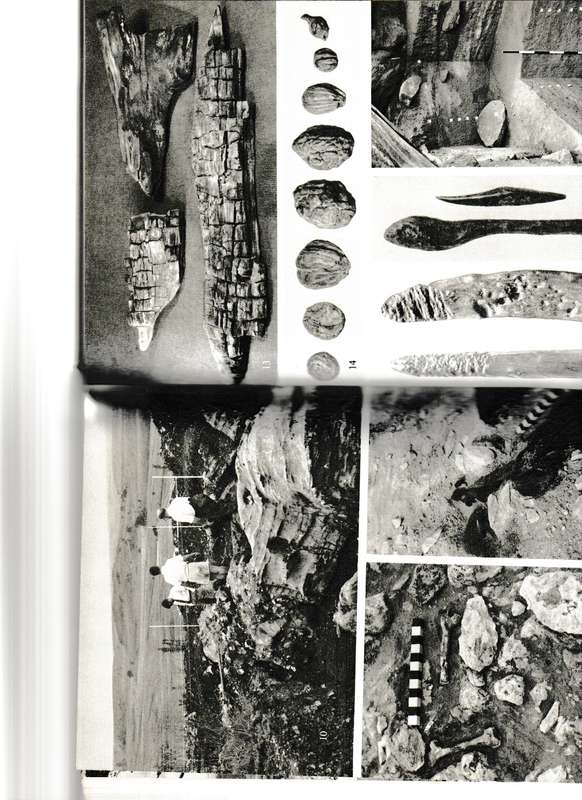 THE PREHISTORY OF AFRICA by J. DESMOND CLARK
